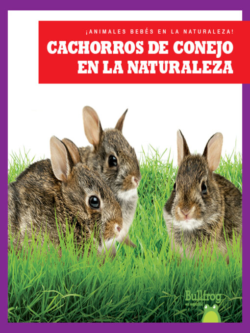 Cover image for Cachorros de conejo en la naturaleza (Rabbit Kits in the Wild)